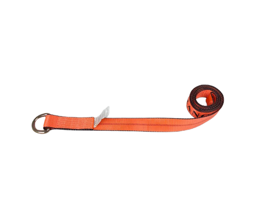 Big Orange 2" X 10' Lasso D ring Strap